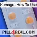 Kamagra How To Use 24